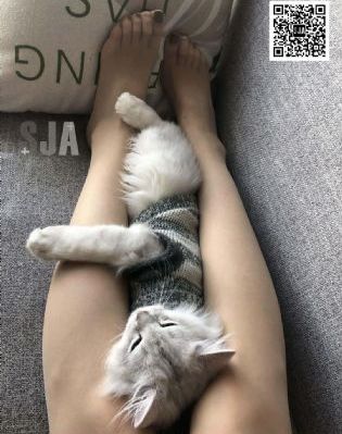国产sm迅雷迅雷下载_BD英语在线观看